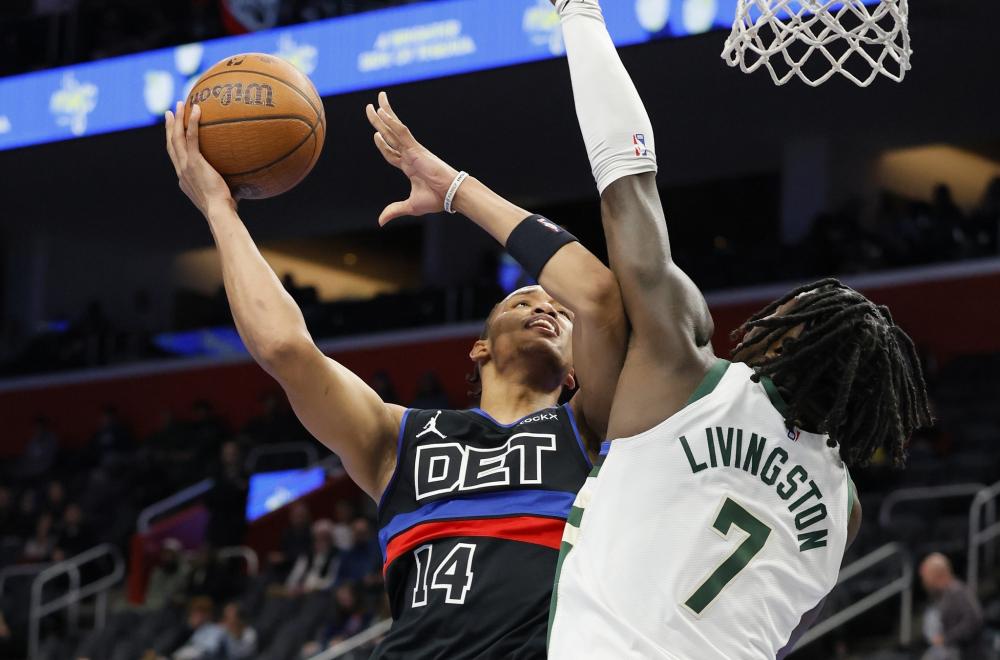 展现出极高 展现出极高